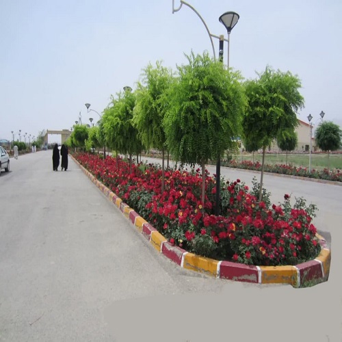 تصویر سوم