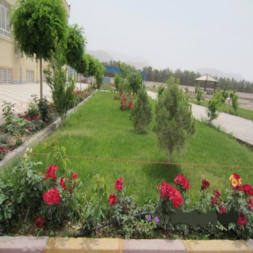 تصویر چهارم