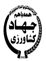 حامی 4
